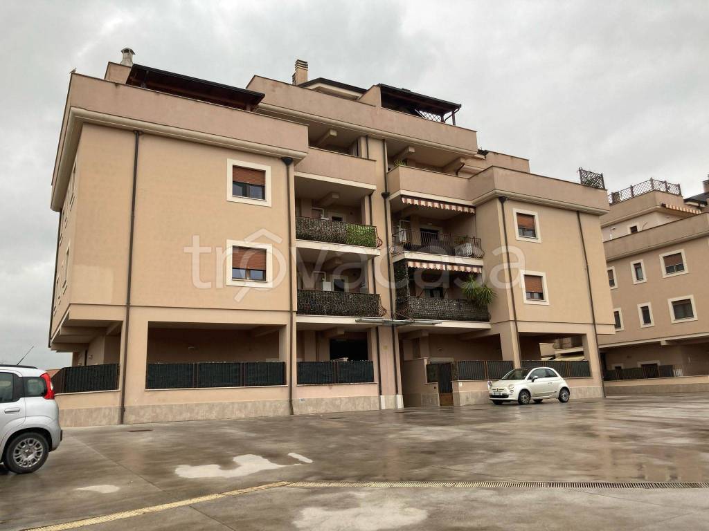 immagine annuncio 3 di 14