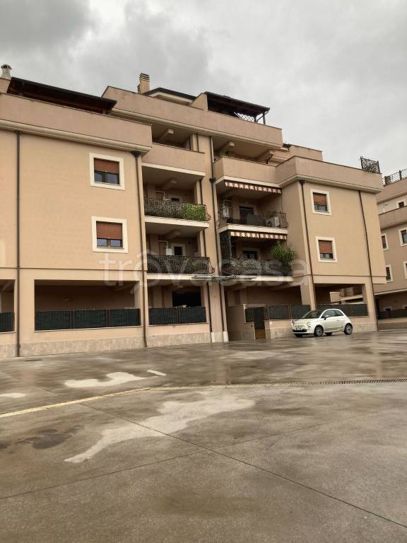 immagine annuncio 11 di 14