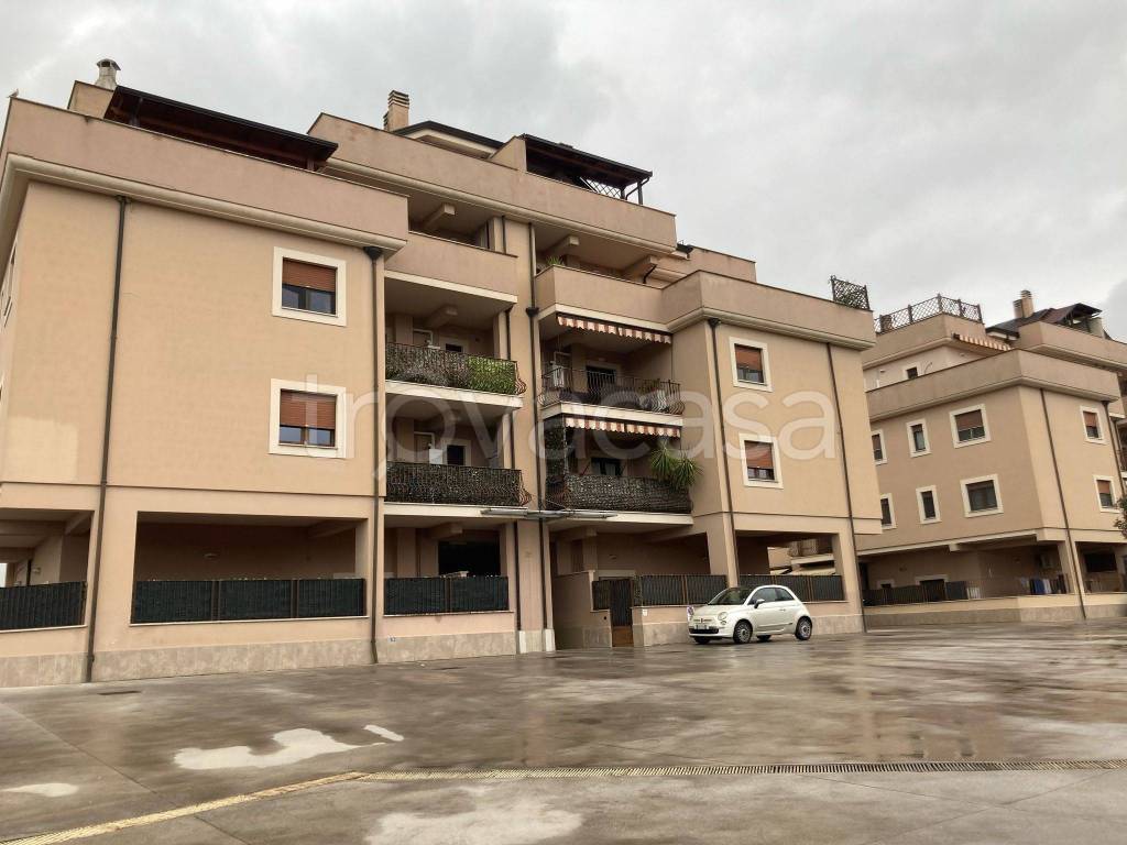 immagine annuncio 12 di 14