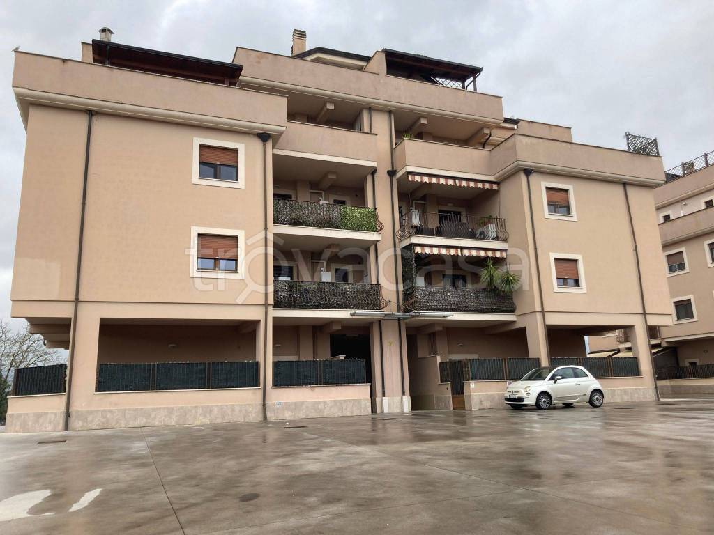 immagine annuncio 13 di 14