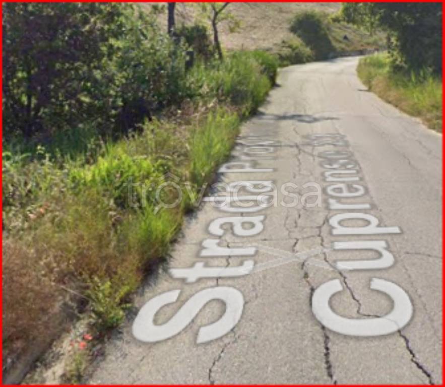 immagine annuncio 4 di 12