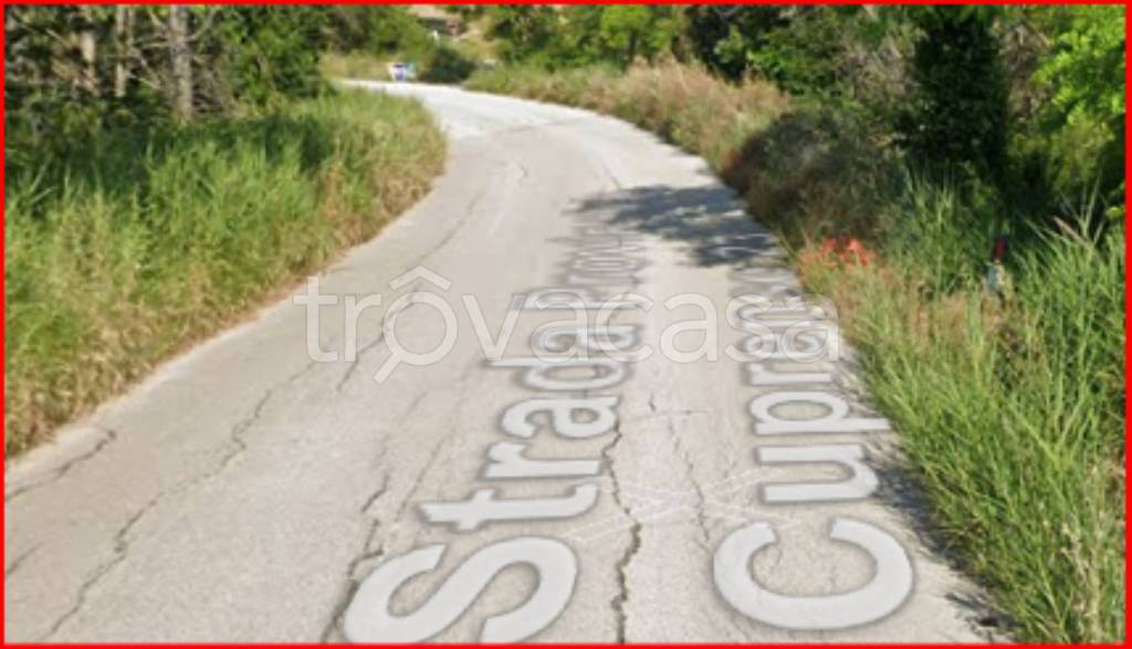 immagine annuncio 6 di 12