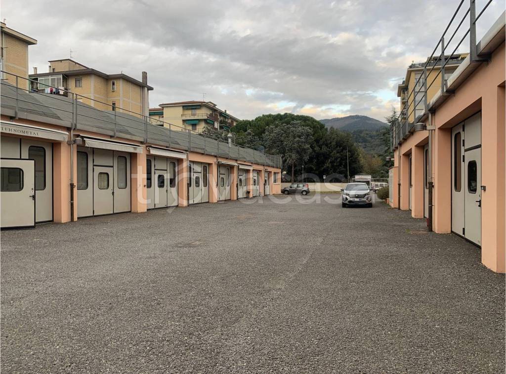 immagine annuncio 1 di 7