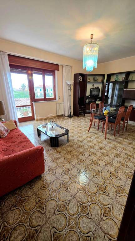 immagine annuncio 3 di 12