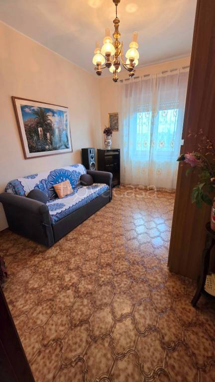 immagine annuncio 5 di 12