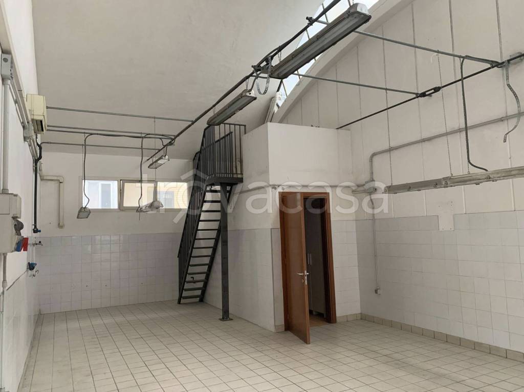 immagine annuncio 4 di 7