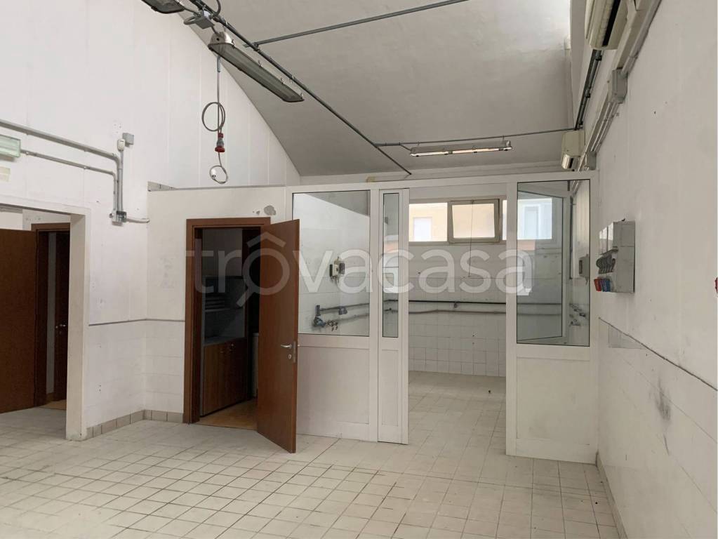 immagine annuncio 5 di 7