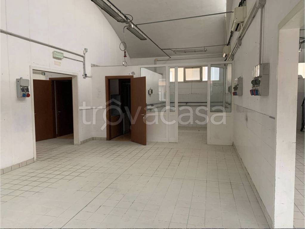 immagine annuncio 6 di 7