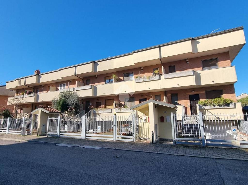 immagine annuncio 4 di 15