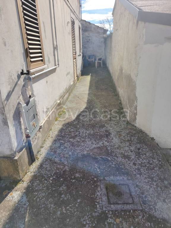 immagine annuncio 2 di 7