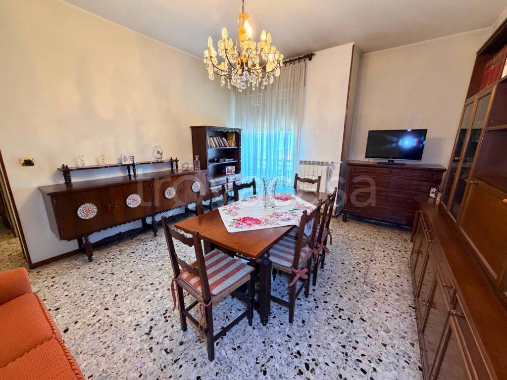 immagine annuncio 2 di 12