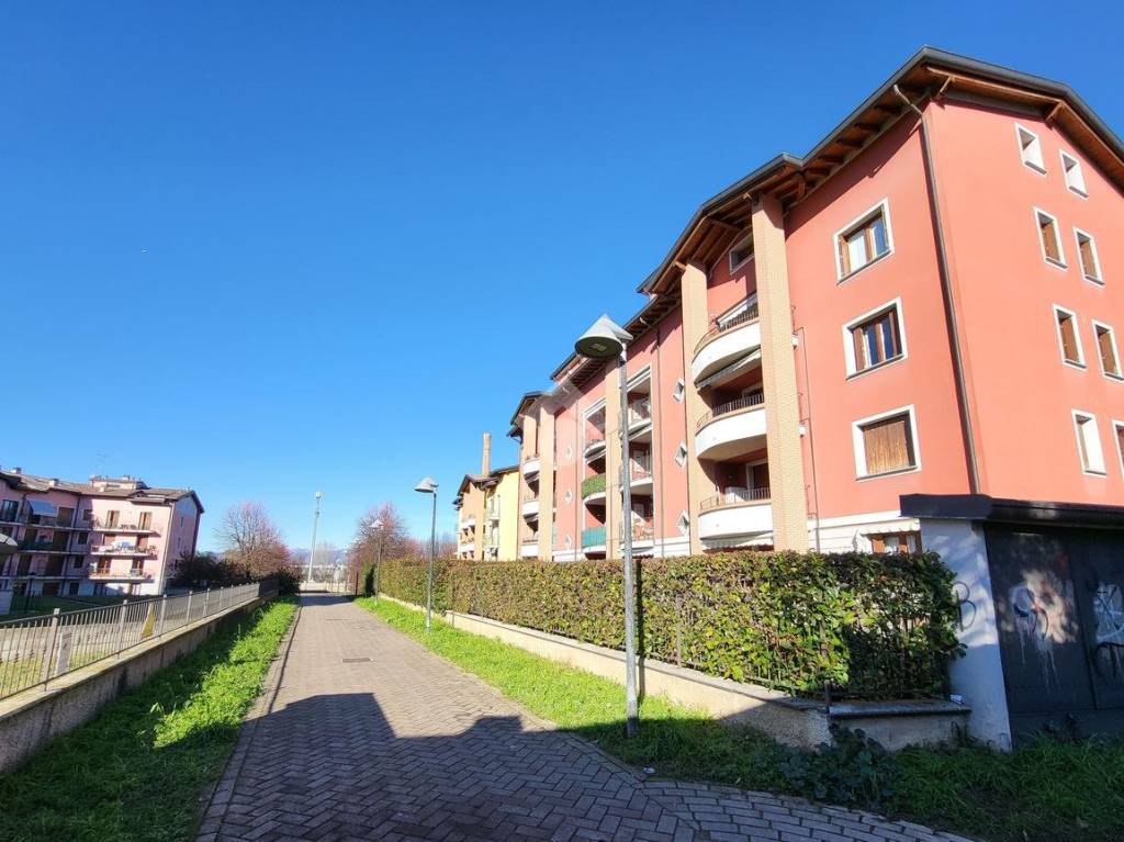 immagine annuncio 1 di 15