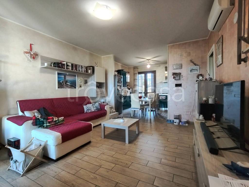 immagine annuncio 5 di 15