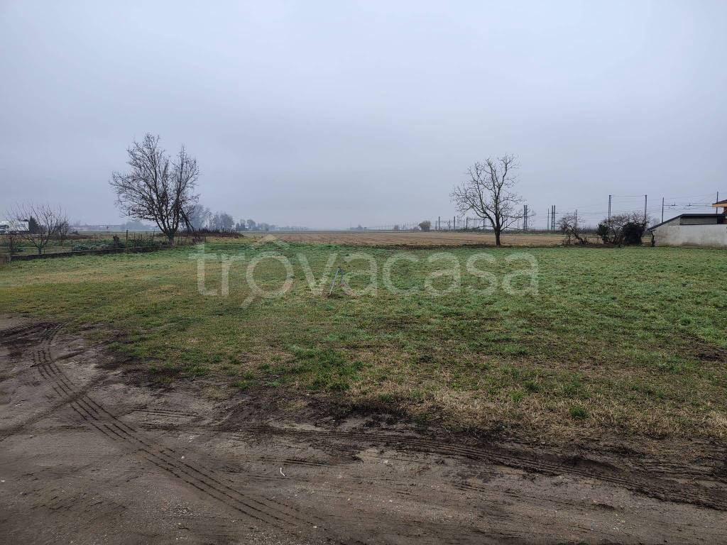 immagine annuncio 1 di 8