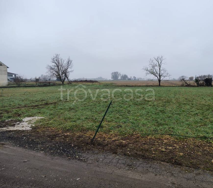 immagine annuncio 4 di 8