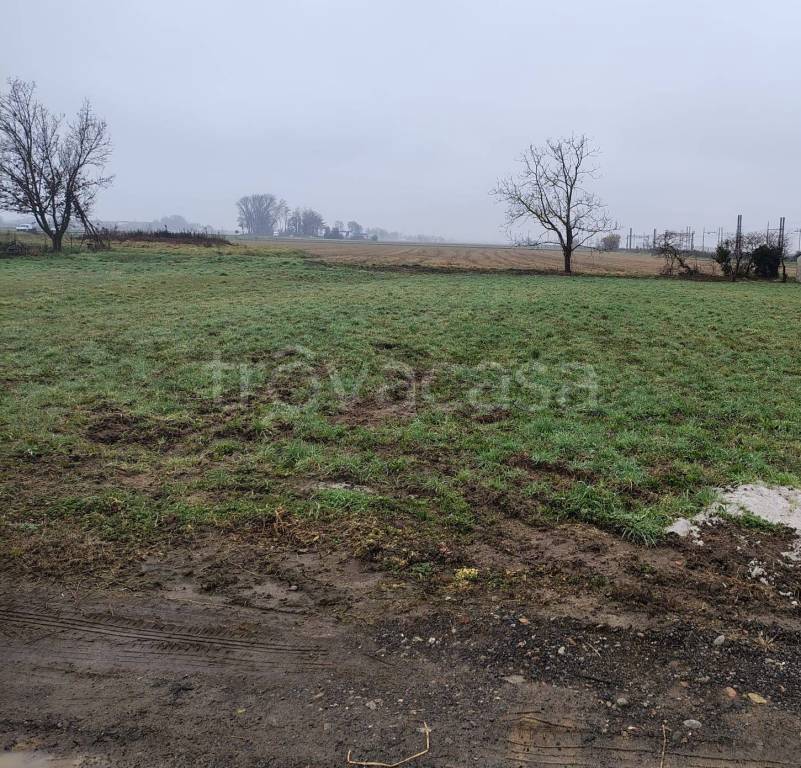 immagine annuncio 6 di 8