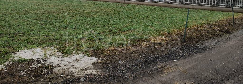 immagine annuncio 7 di 8