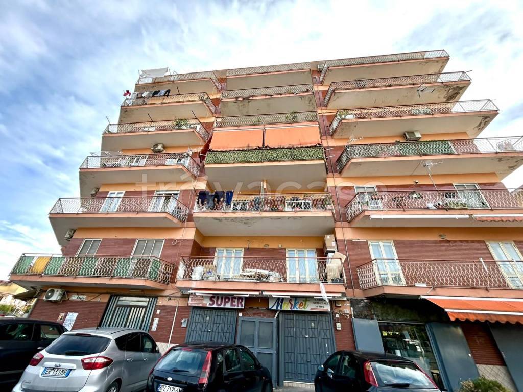 immagine annuncio 13 di 14