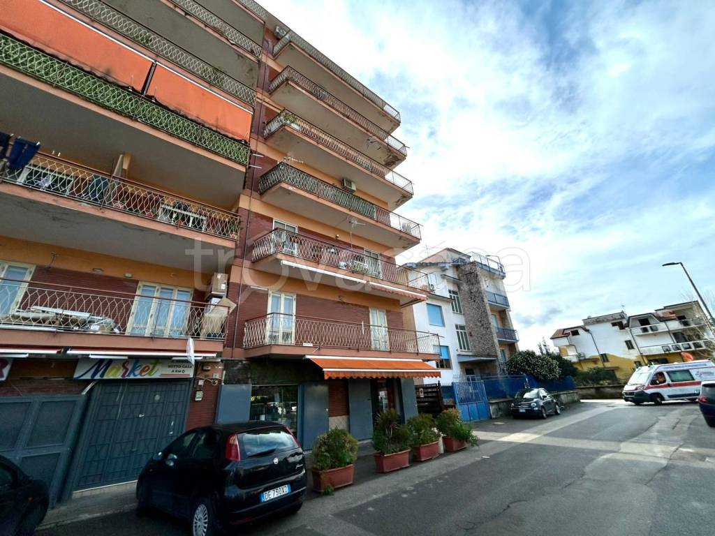 immagine annuncio 12 di 14