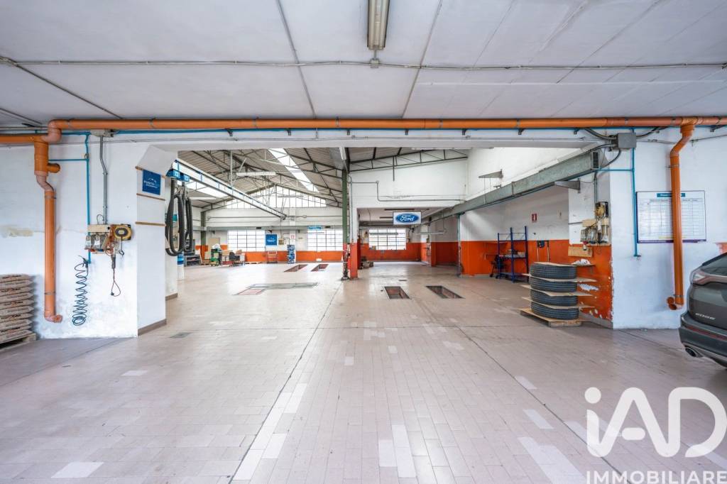 immagine annuncio 9 di 15