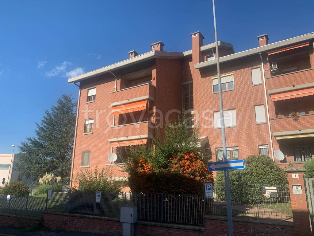 immagine annuncio 1 di 15