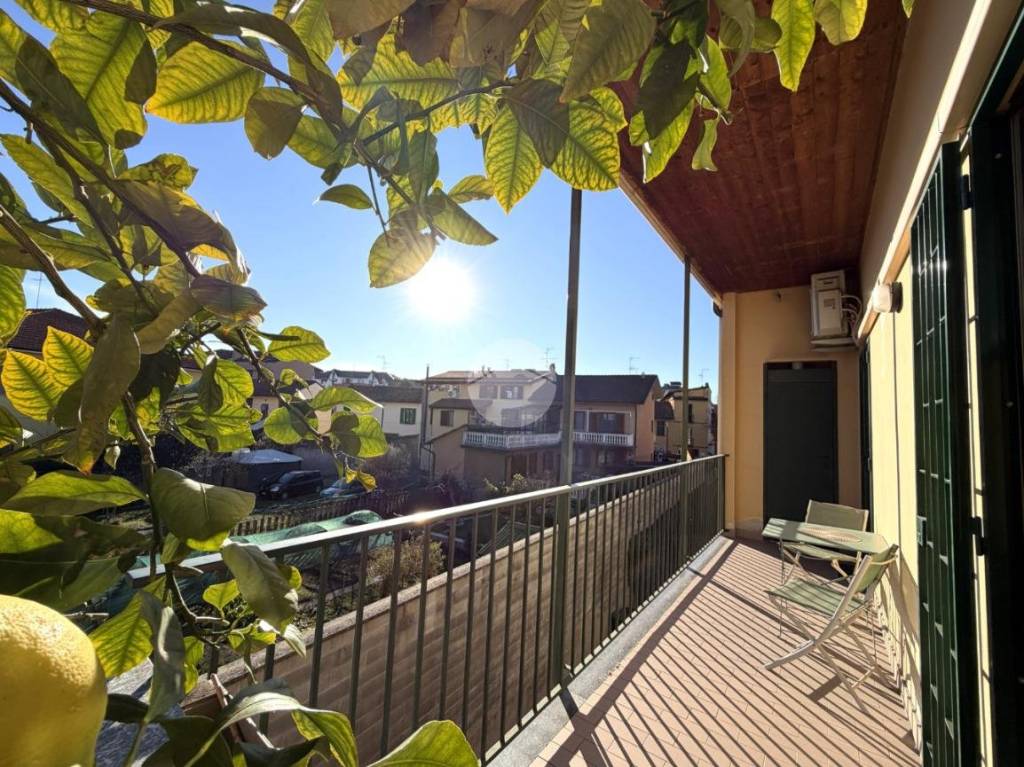 immagine annuncio 1 di 14