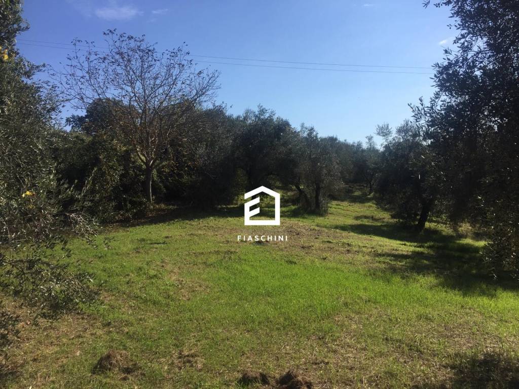 immagine annuncio 11 di 15