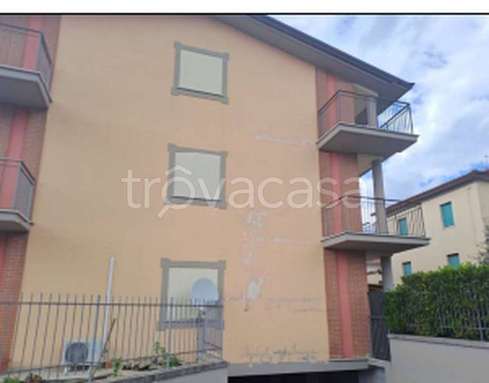 immagine annuncio 2 di 12