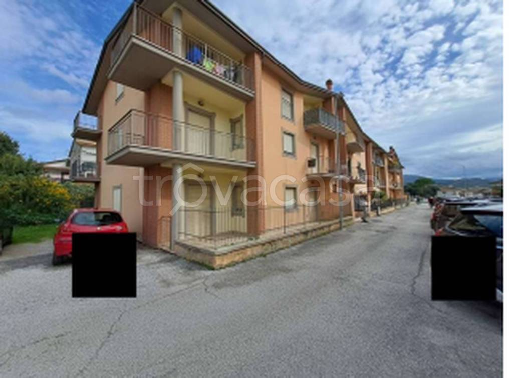 immagine annuncio 6 di 12