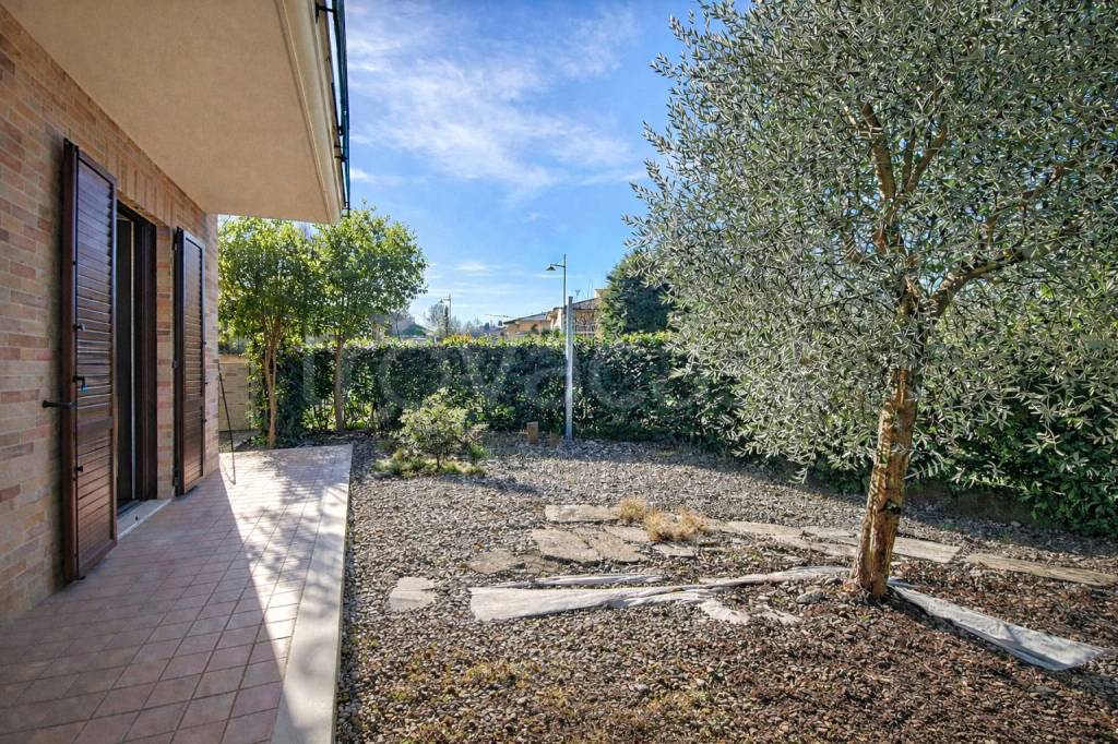 immagine annuncio 3 di 12