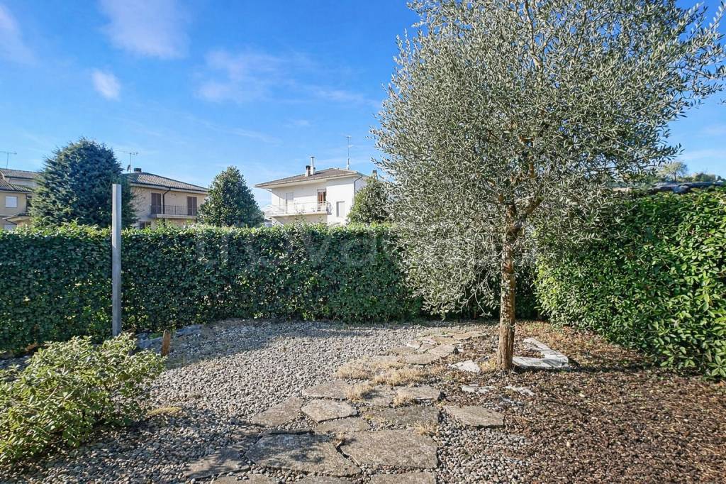 immagine annuncio 4 di 12