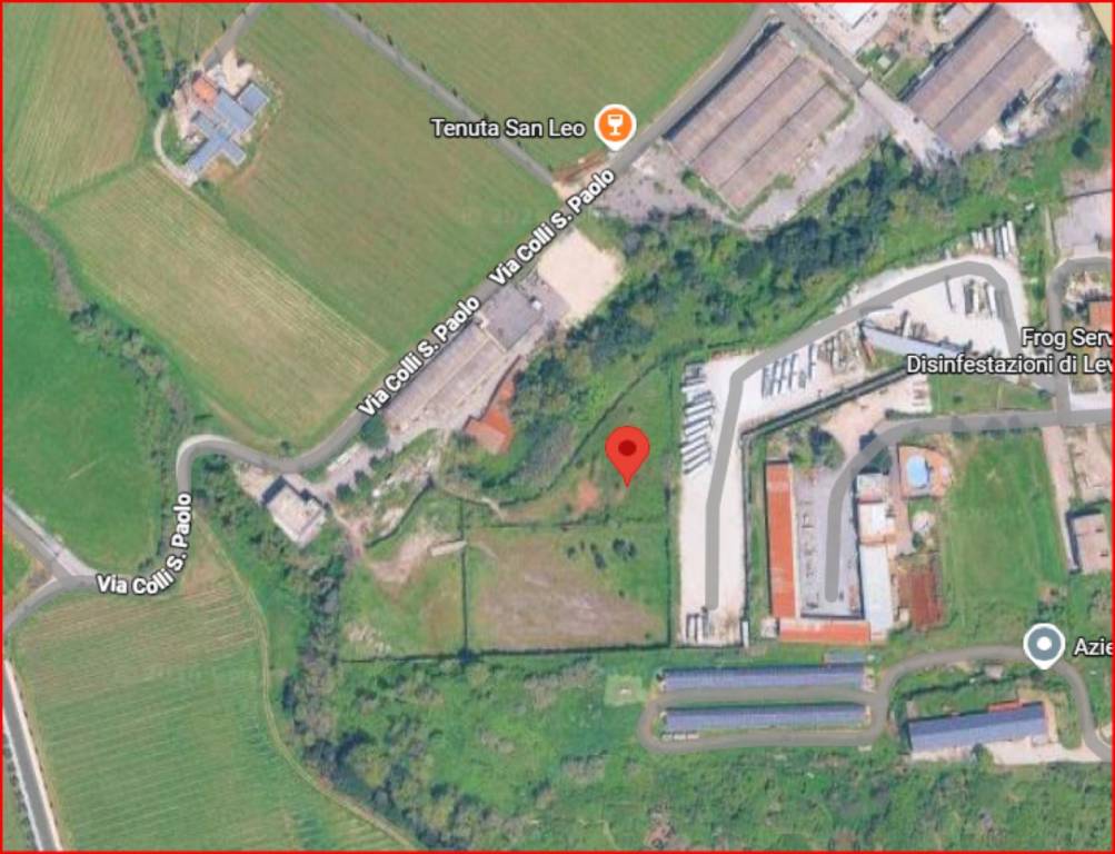 immagine annuncio 11 di 12