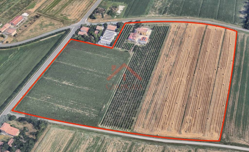 immagine annuncio 7 di 8