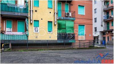 immagine annuncio 1 di 4