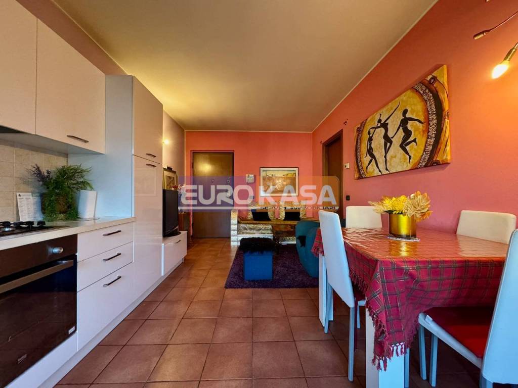 immagine annuncio 1 di 14