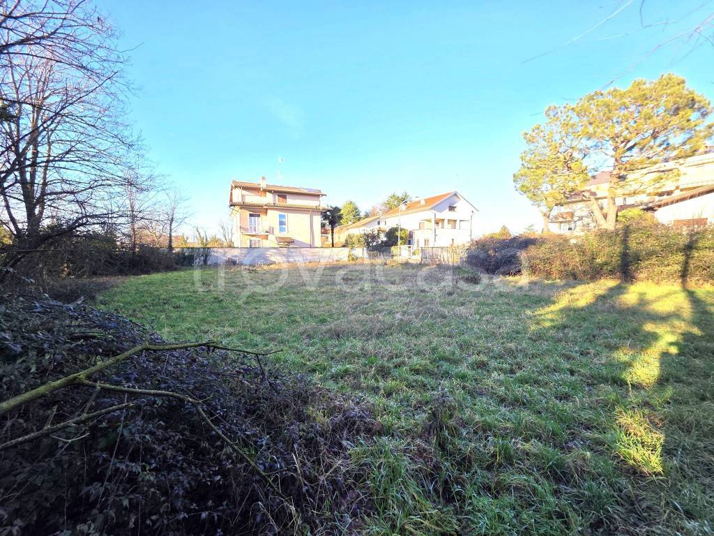 immagine annuncio 6 di 13