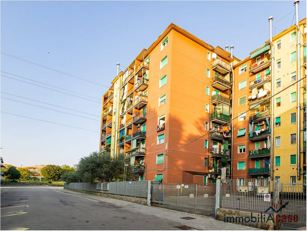 immagine annuncio 1 di 4