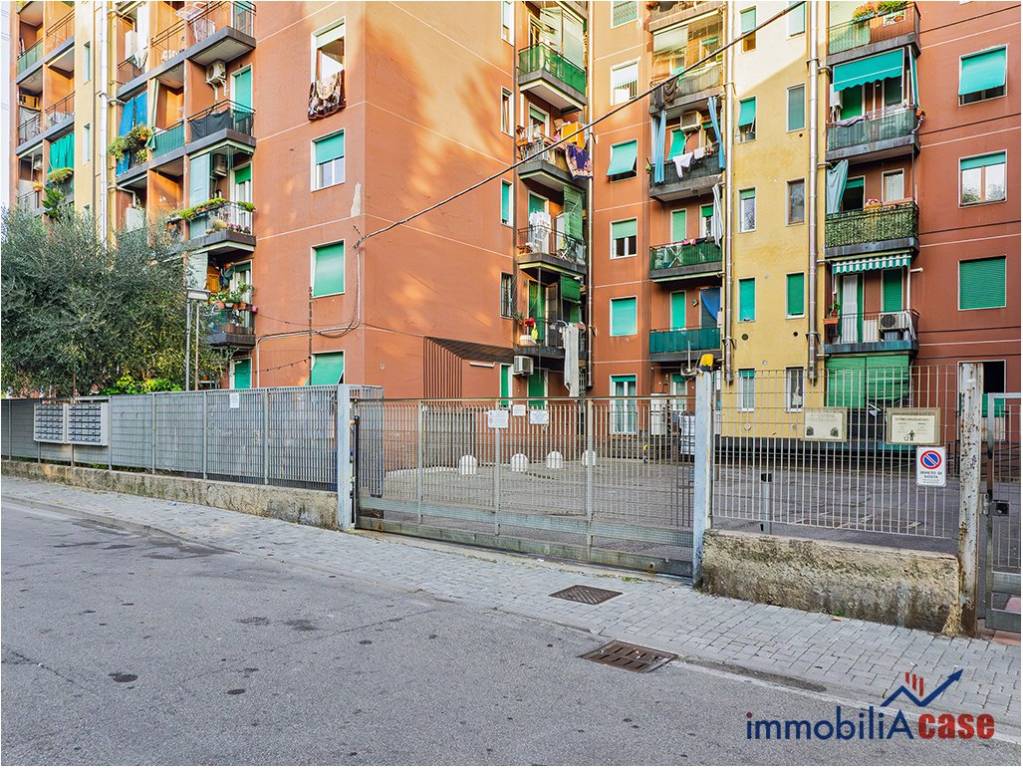 immagine annuncio 2 di 4