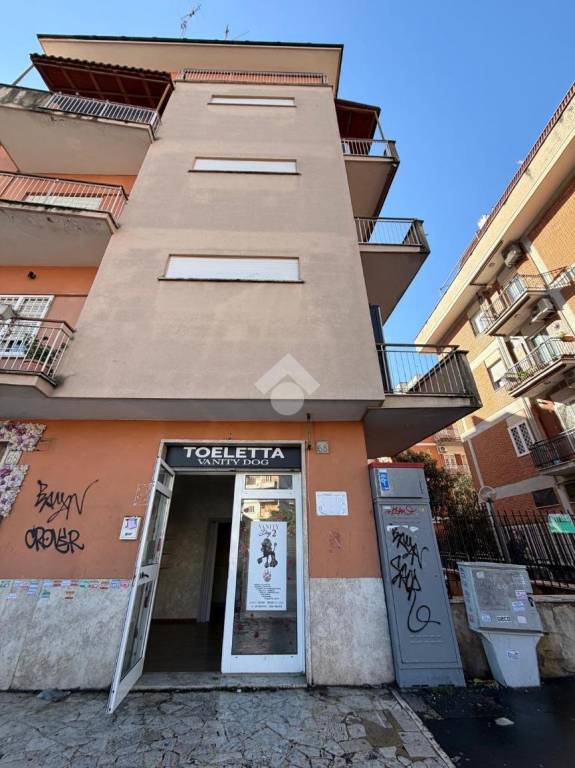 immagine annuncio 13 di 14