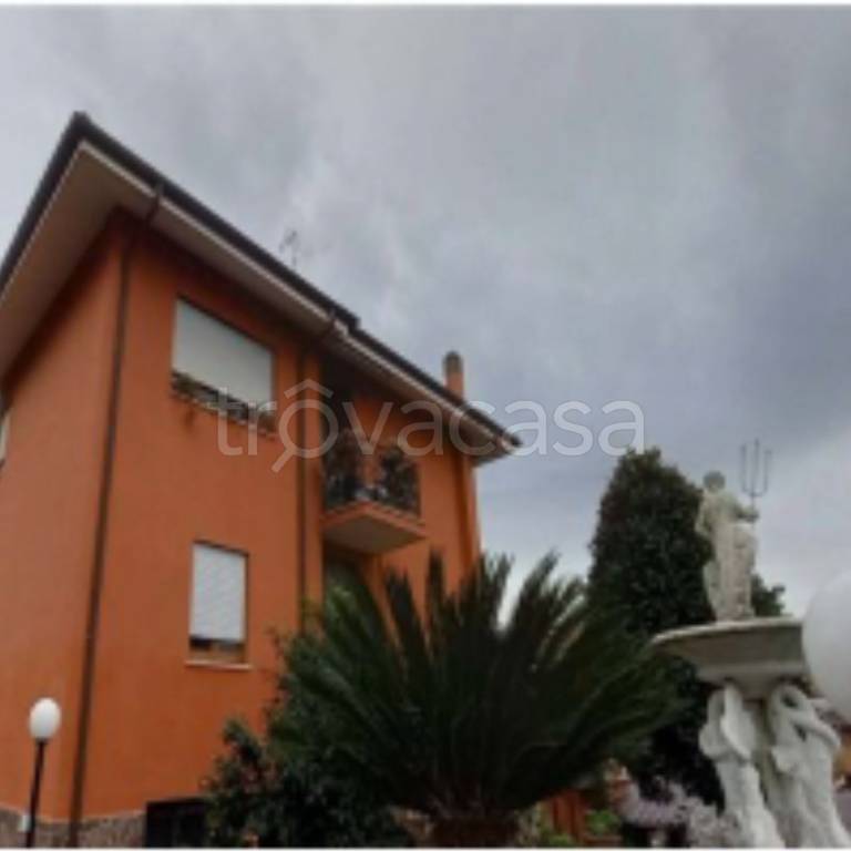 immagine annuncio 3 di 11