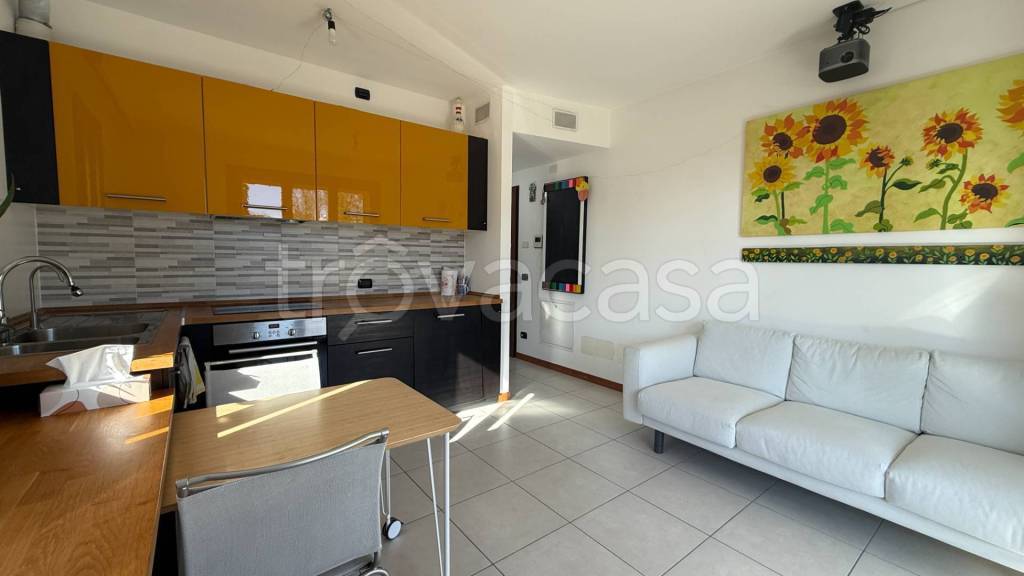 immagine annuncio 6 di 14