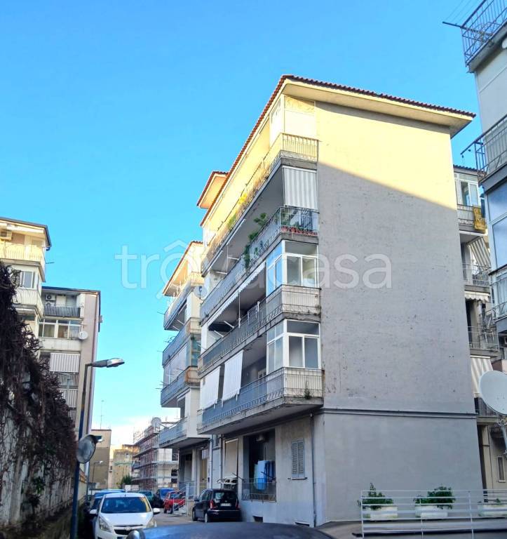 immagine annuncio 6 di 13