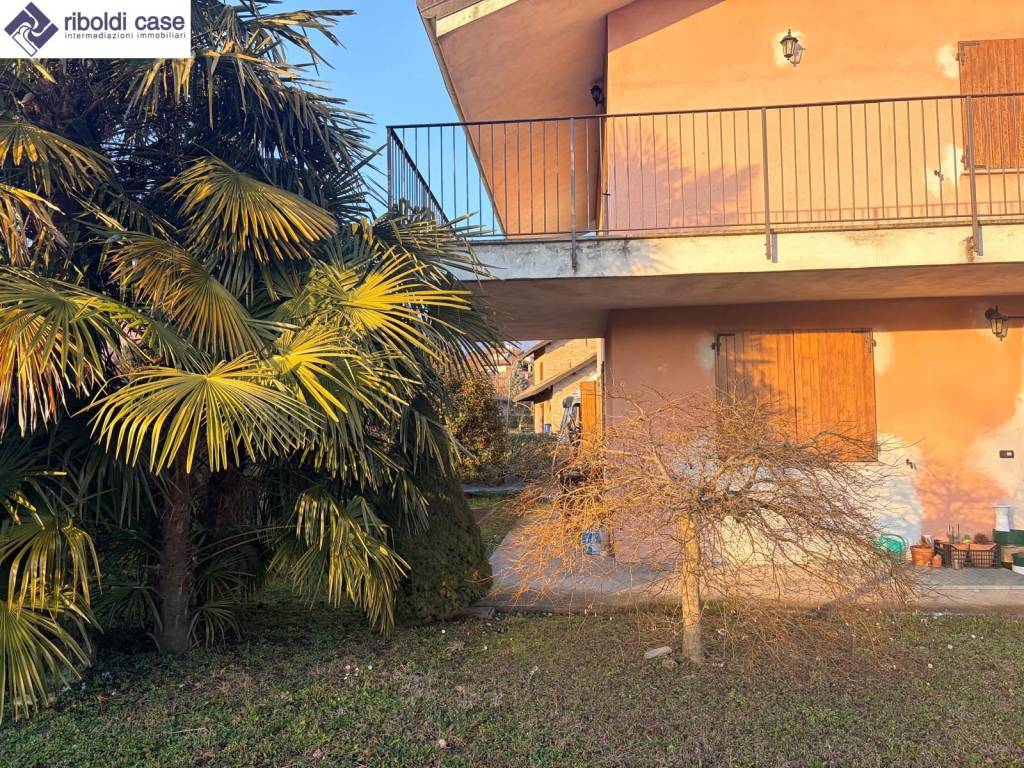 immagine annuncio 4 di 8