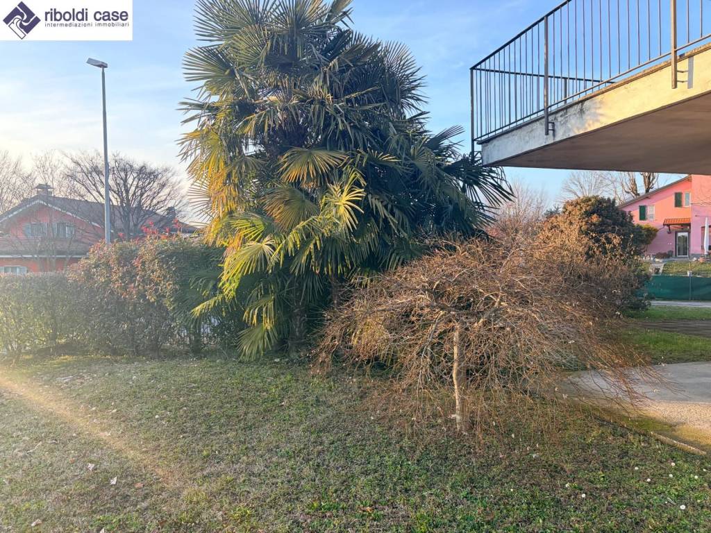 immagine annuncio 6 di 8