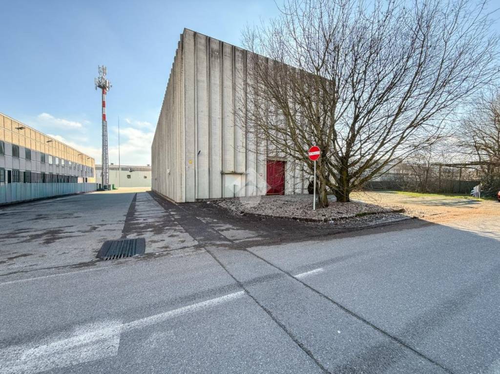 immagine annuncio 5 di 15