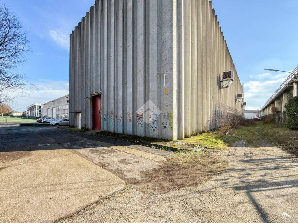 immagine annuncio 8 di 15