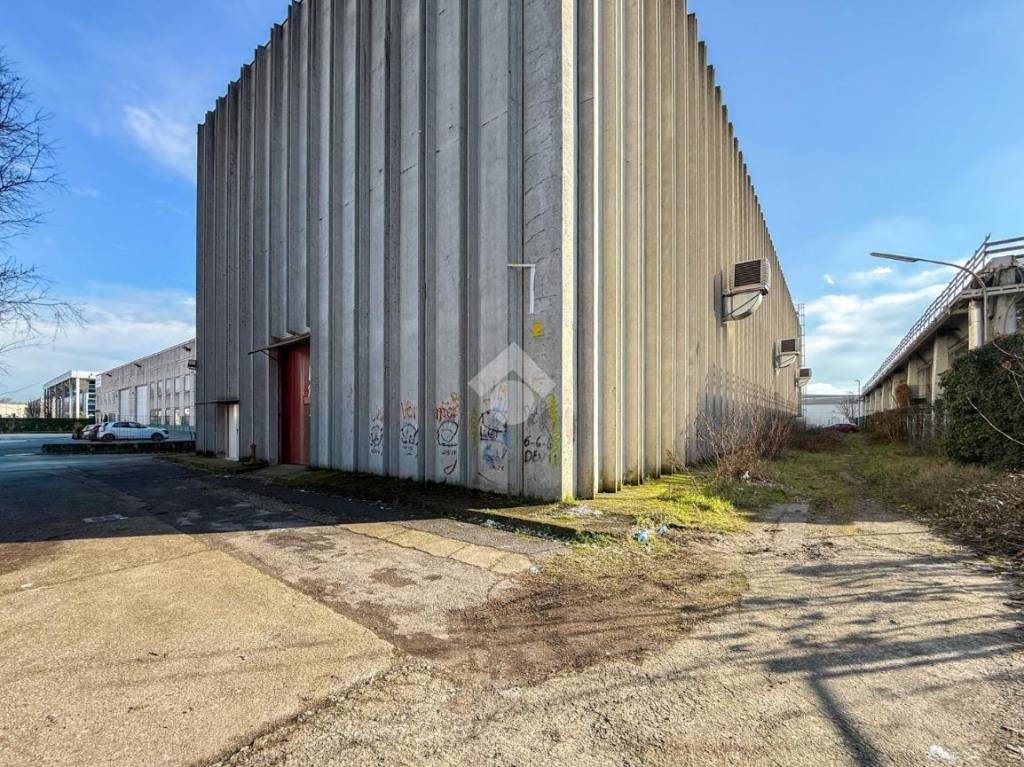 immagine annuncio 12 di 15