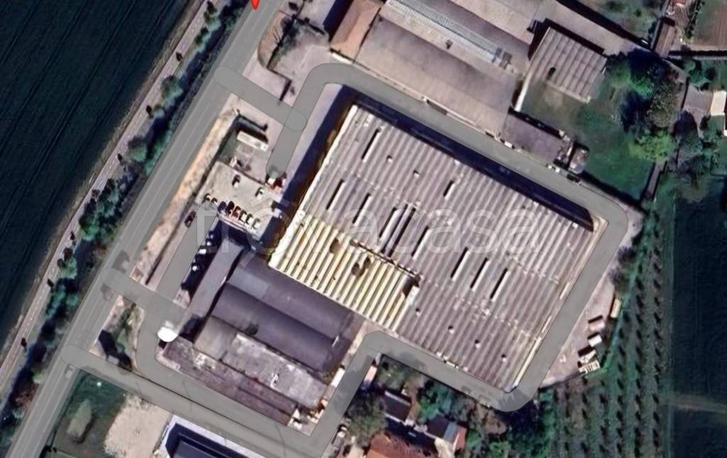 immagine annuncio 3 di 9