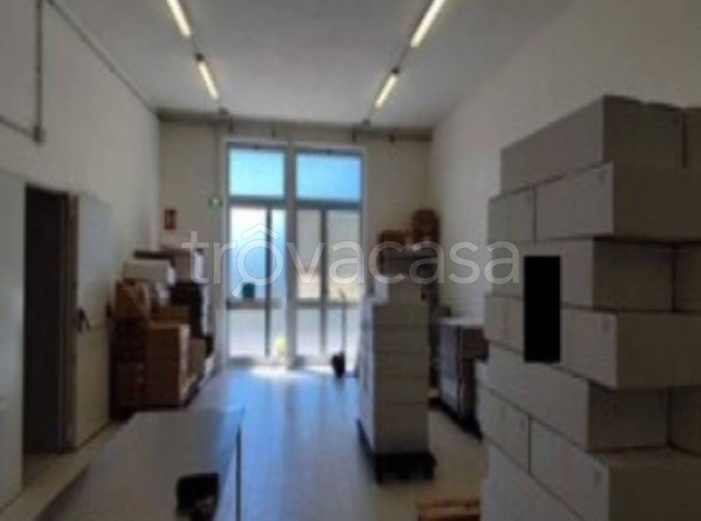 immagine annuncio 4 di 11