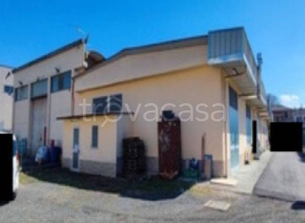 immagine annuncio 2 di 11